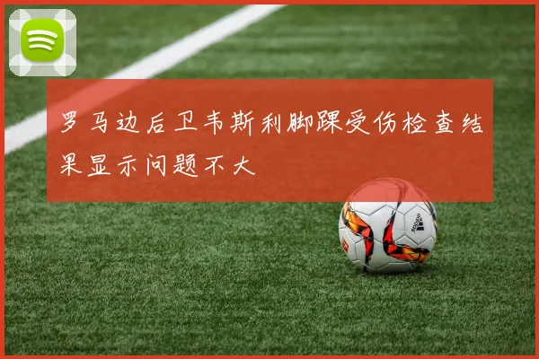罗马边后卫韦斯利脚踝受伤检查结果显示问题不大