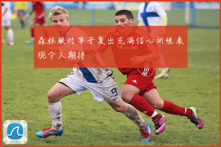 森林狼对华子复出充满信心训练表现令人期待