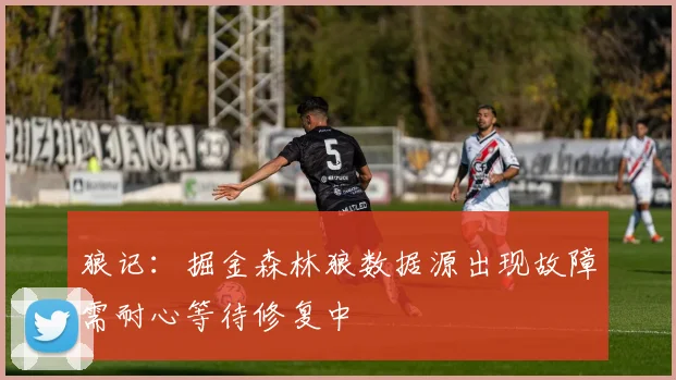 狼记：掘金森林狼数据源出现故障需耐心等待修复中