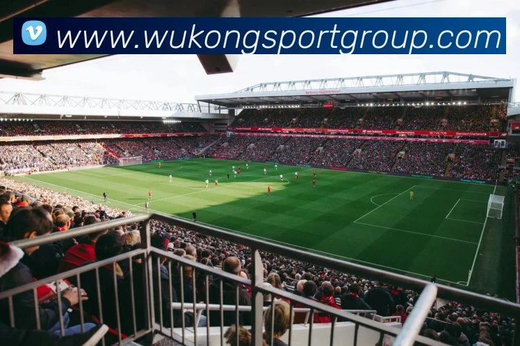 悟空体育平台生态图