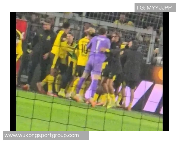 绝杀时刻!拜尔狂奔释放激情难以自控庆祝方式成谜 绝杀时刻!拜尔狂奔释放激情难以自控庆祝方式成谜